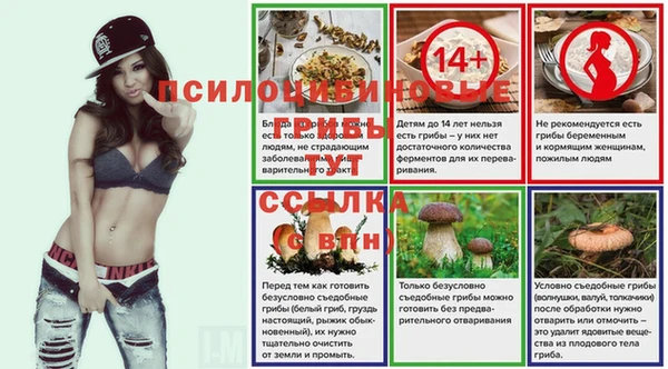 винт Алексеевка