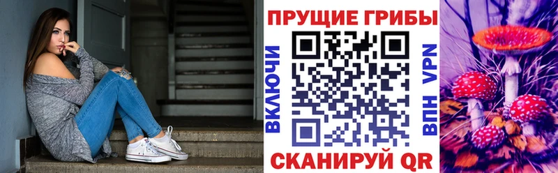блэк спрут зеркало  Всеволожск  Псилоцибиновые грибы Magic Shrooms 